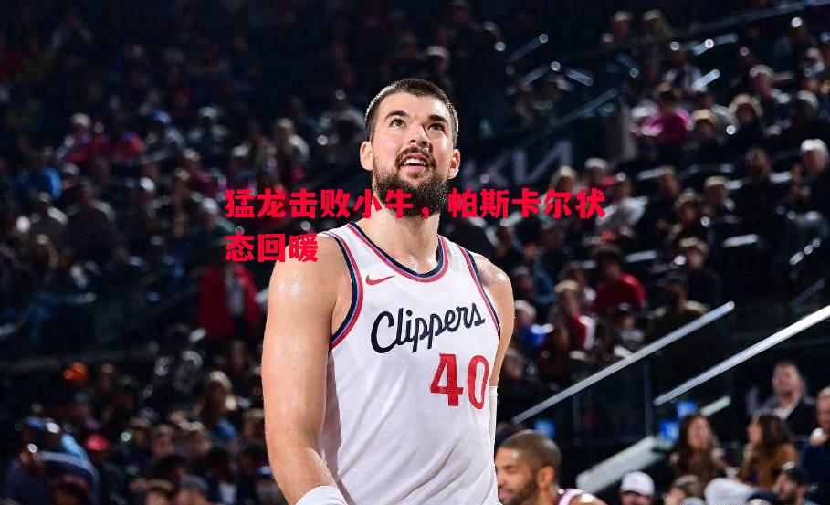 猛龙击败小牛,帕斯卡尔状态回暖 猛龙击败小牛,帕斯卡尔状态回暖