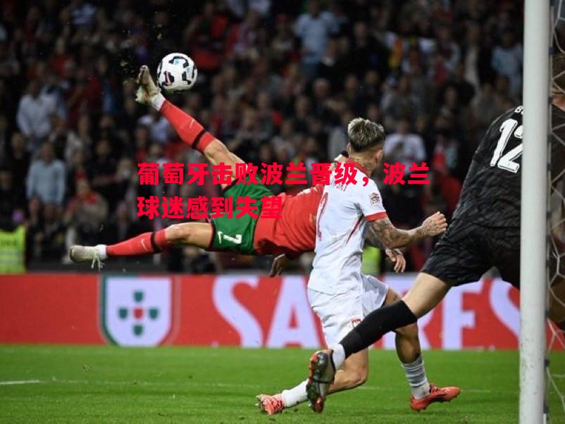 葡萄牙击败波兰晋级,波兰球迷感到失望 葡萄牙击败波兰晋级,波兰球迷感到失望