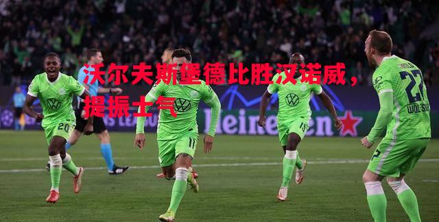 德信体育app下载-沃尔夫斯堡德比胜汉诺威，提振士气