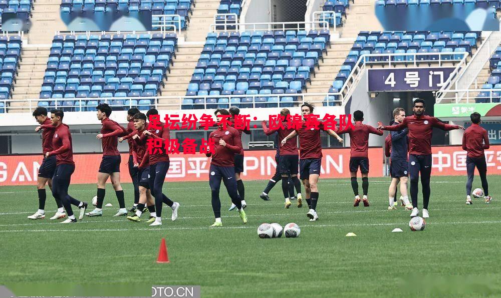 足坛纷争不断:欧锦赛各队积极备战 足坛纷争不断:欧锦赛各队积极备战