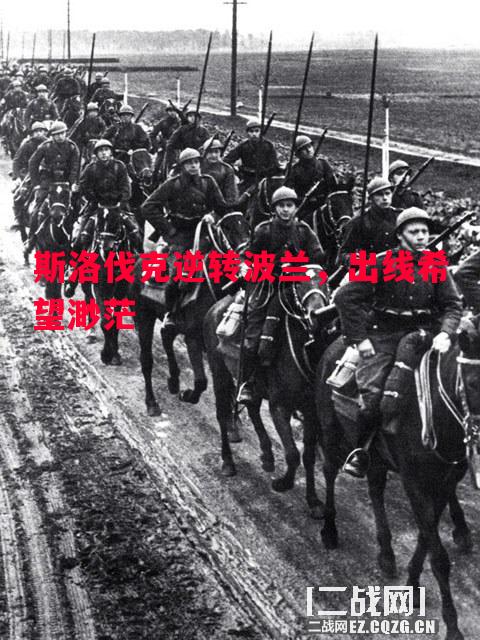 斯洛伐克逆转波兰,出线希望渺茫 斯洛伐克逆转波兰,出线希望渺茫