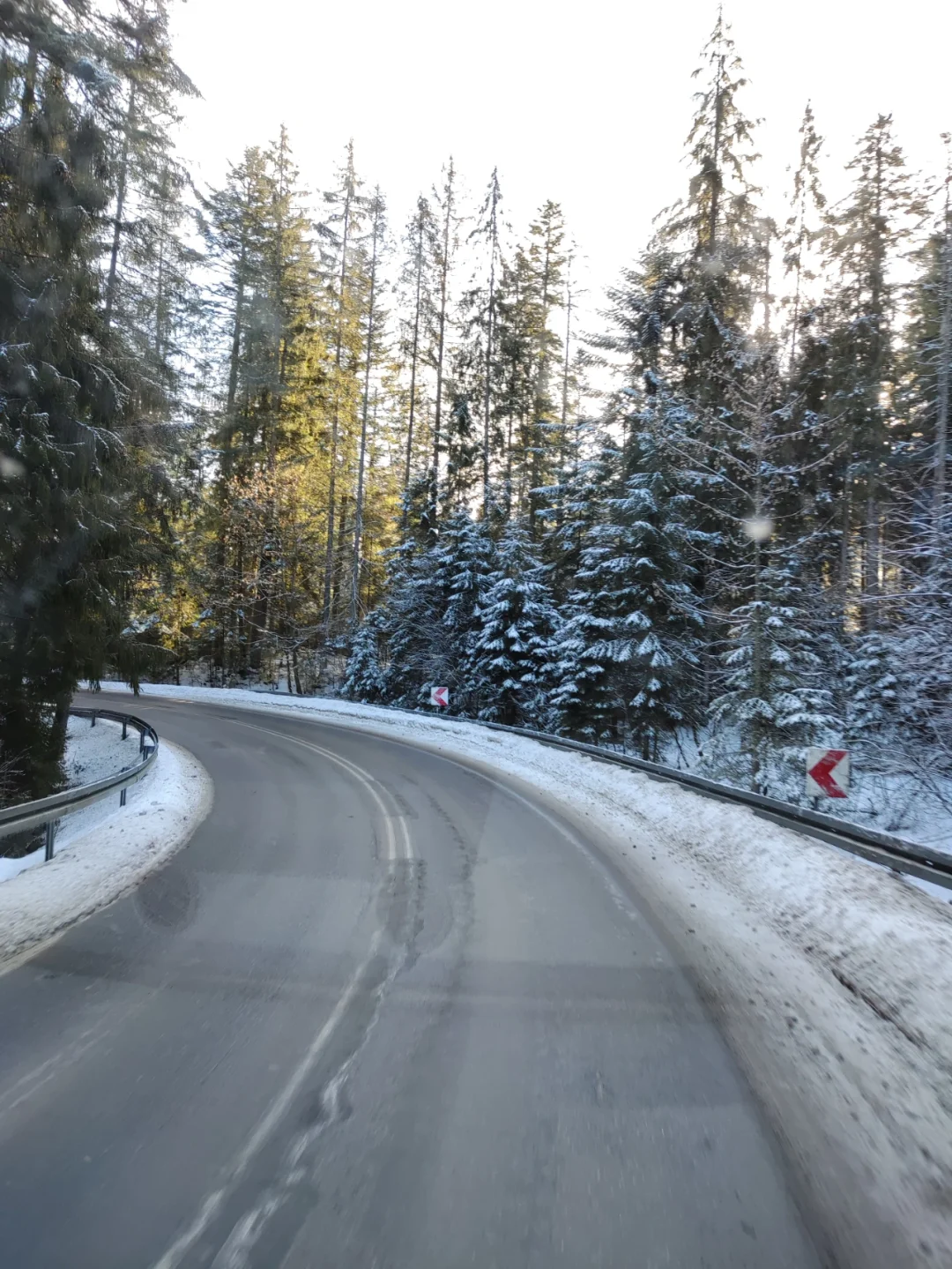 斯洛伐克逆转波兰,出线希望渺茫 斯洛伐克逆转波兰,出线希望渺茫