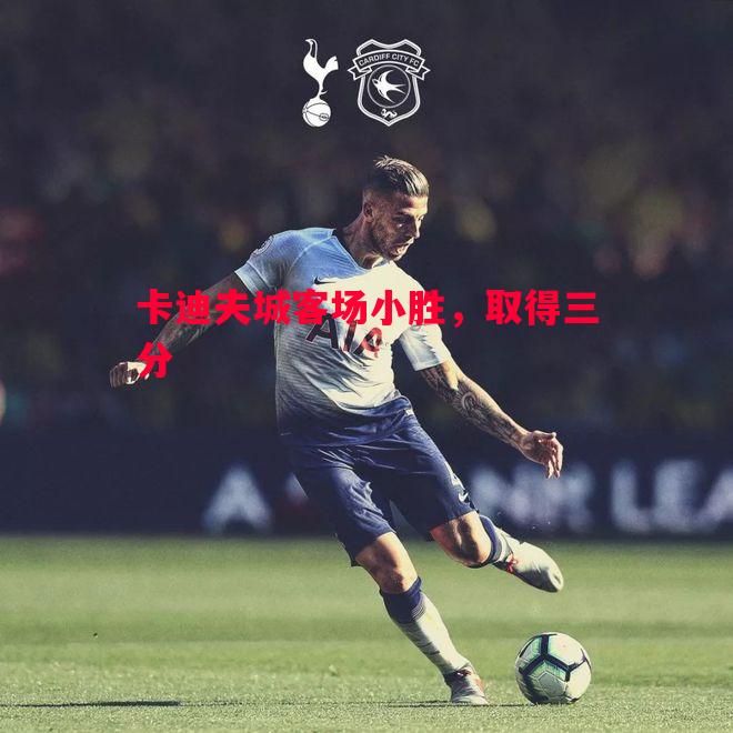 卡迪夫城客场小胜,取得三分 卡迪夫城客场小胜,取得三分