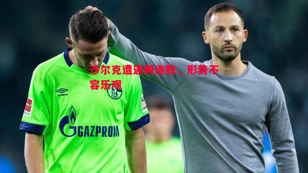 沙尔克遭遇两连败,形势不容乐观 沙尔克遭遇两连败,形势不容乐观