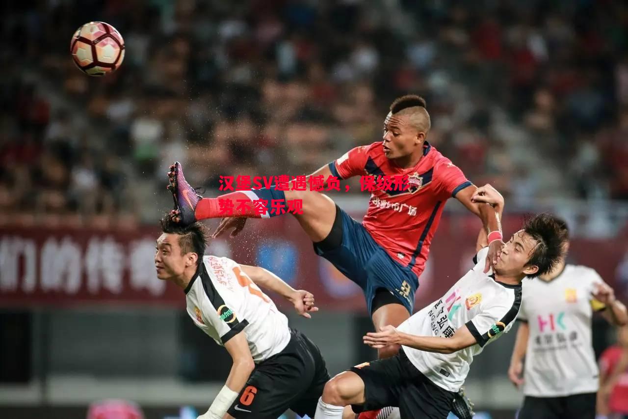 汉堡SV遭遇憾负,保级形势不容乐观 汉堡SV遭遇憾负,保级形势不容乐观