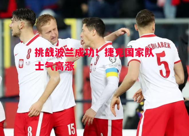 挑战波兰成功!捷克国家队士气高涨 挑战波兰成功!捷克国家队士气高涨