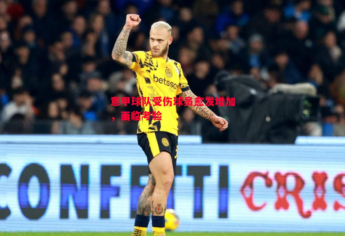 意甲球队受伤球员愈发增加,面临考验 意甲球队受伤球员愈发增加,面临考验