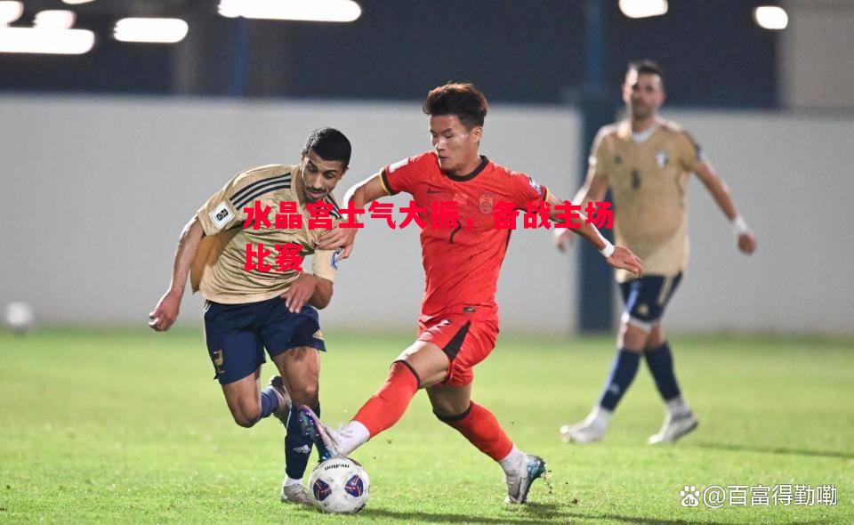 水晶宫士气大振,备战主场比赛 水晶宫士气大振,备战主场比赛