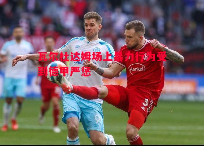 德信体育app下载-瓦尔杜达姆场上暴力行为受到德甲严惩