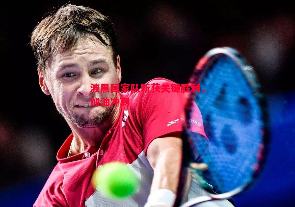 波黑国家队斩获关键胜利,加油冲刺 波黑国家队斩获关键胜利,加油冲刺