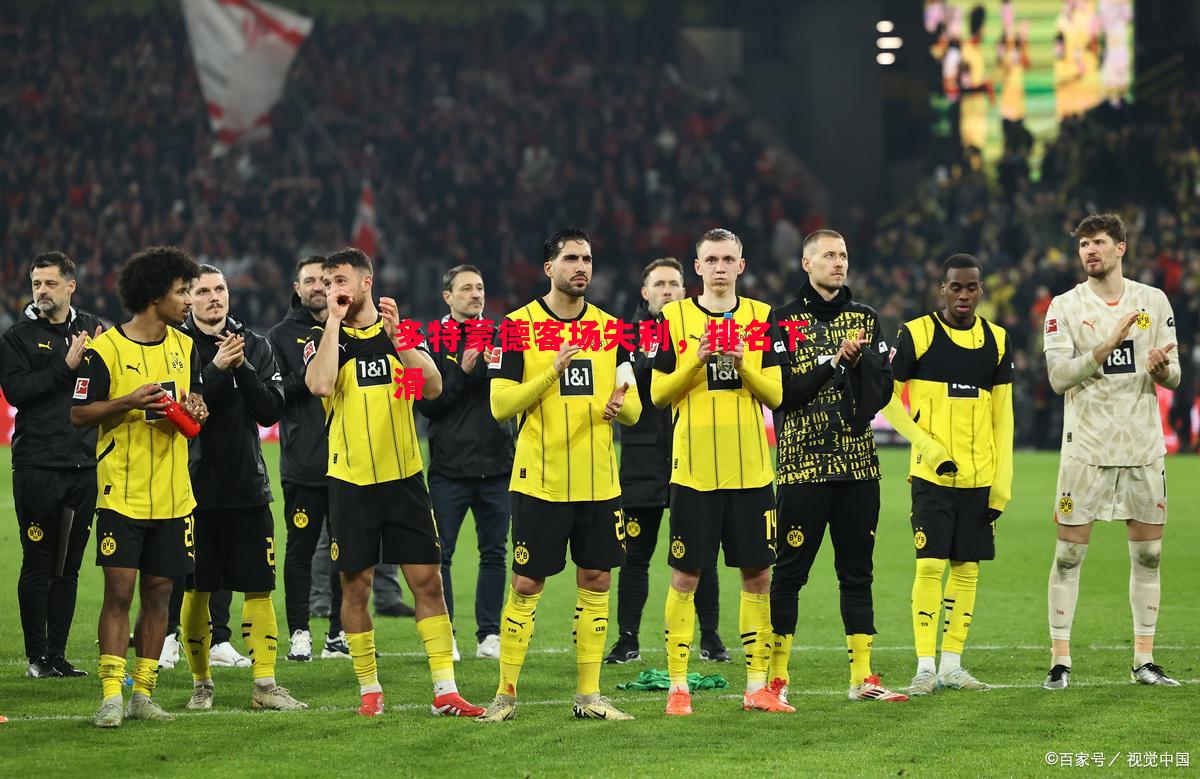 多特蒙德客场失利,排名下滑 多特蒙德客场失利,排名下滑